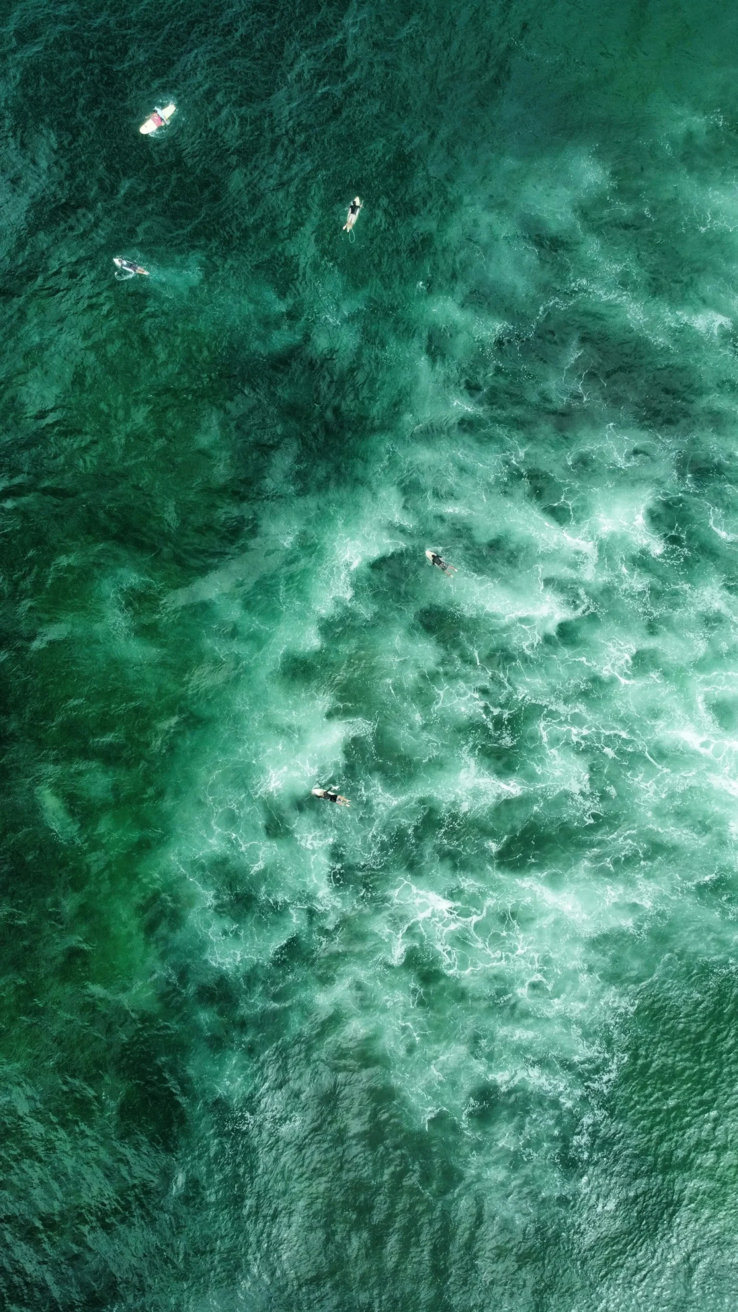 arne-tho-Epc_23YeXVk-unsplash