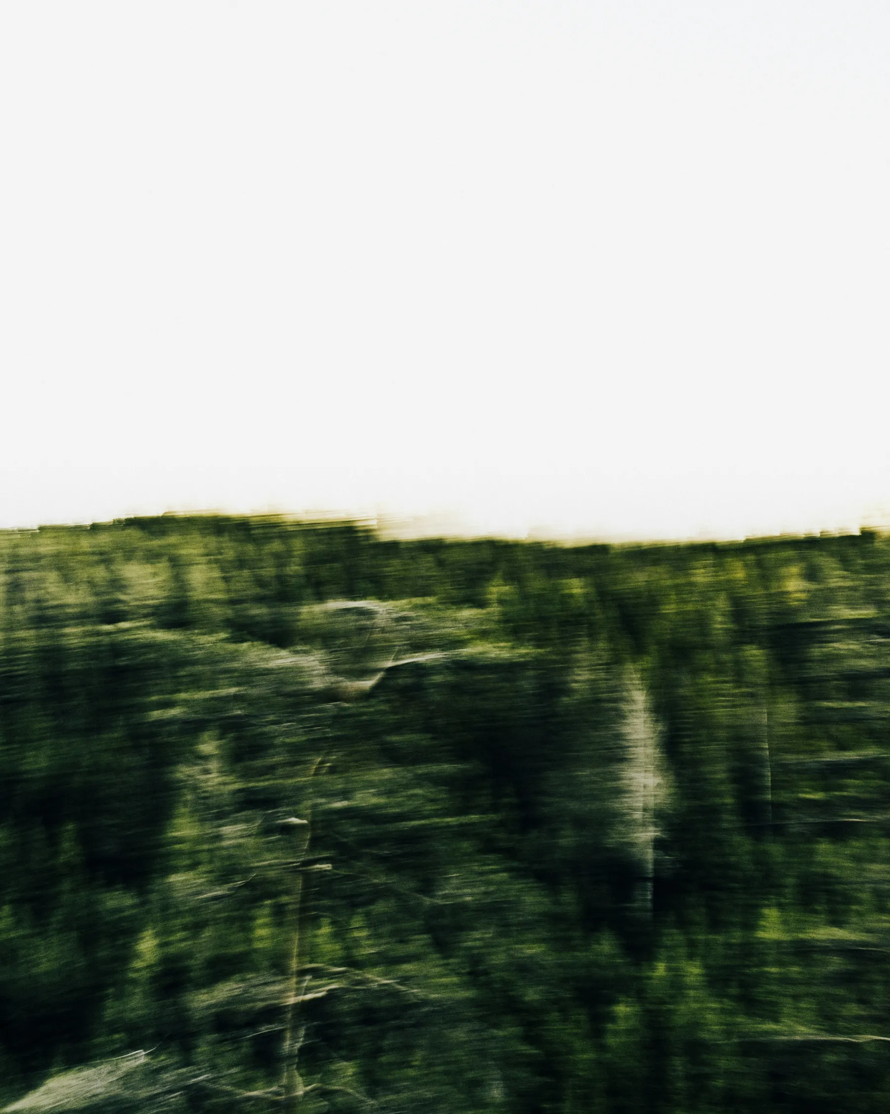 joakim-nadell-UhdVf34hAhk-unsplash